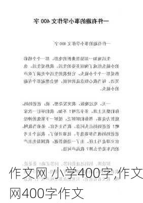 作文网 小学400字,作文网400字作文-第2张图片-二喜范文网