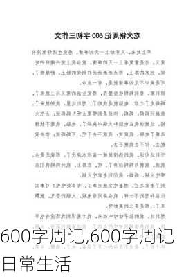 600字周记,600字周记日常生活-第3张图片-二喜范文网