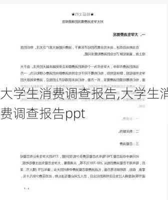 大学生消费调查报告,大学生消费调查报告ppt-第2张图片-二喜范文网