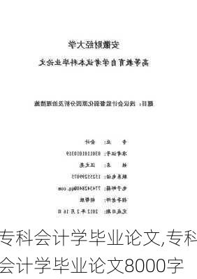 专科会计学毕业论文,专科会计学毕业论文8000字-第3张图片-二喜范文网