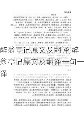 醉翁亭记原文及翻译,醉翁亭记原文及翻译一句一译-第1张图片-二喜范文网