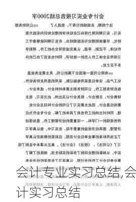 会计专业实习总结,会计实习总结-第3张图片-二喜范文网