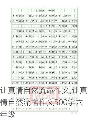 让真情自然流露作文,让真情自然流露作文500字六年级-第1张图片-二喜范文网