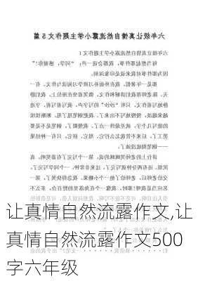 让真情自然流露作文,让真情自然流露作文500字六年级-第2张图片-二喜范文网