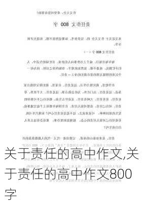 关于责任的高中作文,关于责任的高中作文800字-第1张图片-二喜范文网