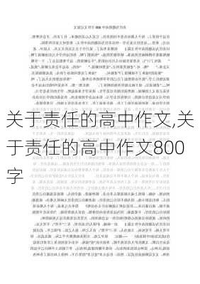 关于责任的高中作文,关于责任的高中作文800字-第2张图片-二喜范文网