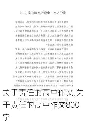 关于责任的高中作文,关于责任的高中作文800字-第3张图片-二喜范文网