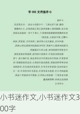 小书迷作文,小书迷作文300字-第1张图片-二喜范文网