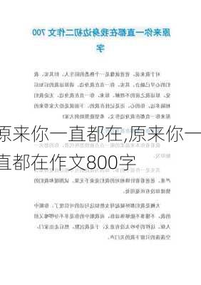 原来你一直都在,原来你一直都在作文800字-第1张图片-二喜范文网