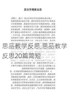 思品教学反思,思品教学反思20篇简短-第2张图片-二喜范文网