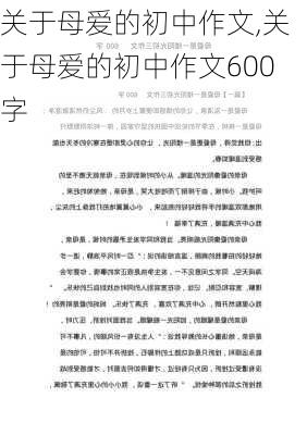 关于母爱的初中作文,关于母爱的初中作文600字-第3张图片-二喜范文网