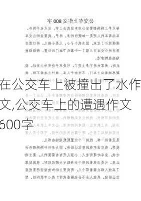 在公交车上被撞出了水作文,公交车上的遭遇作文600字-第2张图片-二喜范文网