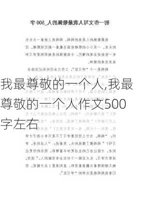 我最尊敬的一个人,我最尊敬的一个人作文500字左右-第3张图片-二喜范文网