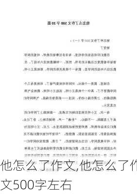 他怎么了作文,他怎么了作文500字左右-第1张图片-二喜范文网