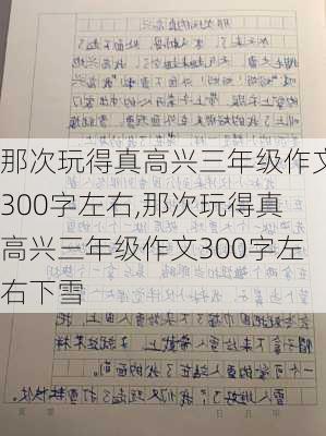 那次玩得真高兴三年级作文300字左右,那次玩得真高兴三年级作文300字左右下雪-第2张图片-二喜范文网