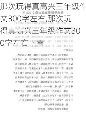 那次玩得真高兴三年级作文300字左右,那次玩得真高兴三年级作文300字左右下雪-第1张图片-二喜范文网