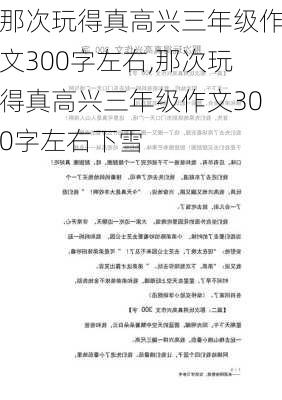 那次玩得真高兴三年级作文300字左右,那次玩得真高兴三年级作文300字左右下雪-第3张图片-二喜范文网