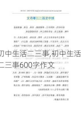 初中生活二三事,初中生活二三事600字作文-第3张图片-二喜范文网