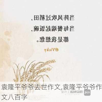 袁隆平爷爷去世作文,袁隆平爷爷作文八百字-第3张图片-二喜范文网