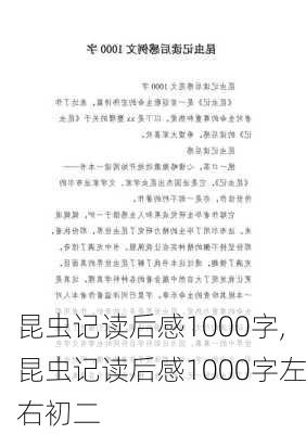 昆虫记读后感1000字,昆虫记读后感1000字左右初二-第3张图片-二喜范文网