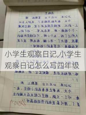 小学生观察日记,小学生观察日记怎么写四年级-第3张图片-二喜范文网