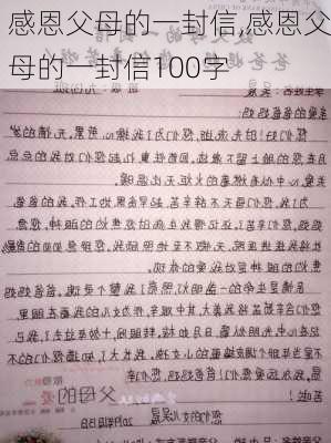 感恩父母的一封信,感恩父母的一封信100字-第2张图片-二喜范文网