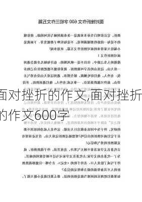 面对挫折的作文,面对挫折的作文600字-第2张图片-二喜范文网