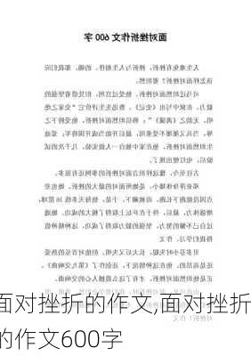 面对挫折的作文,面对挫折的作文600字-第3张图片-二喜范文网