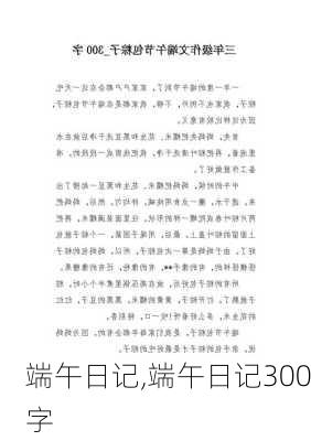 端午日记,端午日记300字-第3张图片-二喜范文网