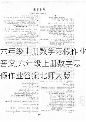 六年级上册数学寒假作业答案,六年级上册数学寒假作业答案北师大版-第1张图片-二喜范文网