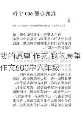 我的愿望 作文,我的愿望作文600字六年级-第2张图片-二喜范文网