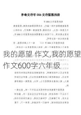 我的愿望 作文,我的愿望作文600字六年级-第3张图片-二喜范文网