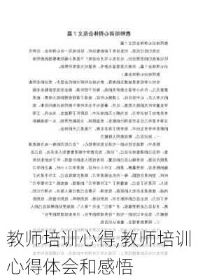 教师培训心得,教师培训心得体会和感悟-第2张图片-二喜范文网