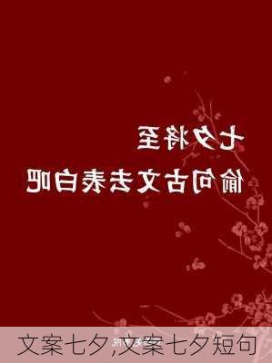 文案七夕,文案七夕短句-第2张图片-二喜范文网