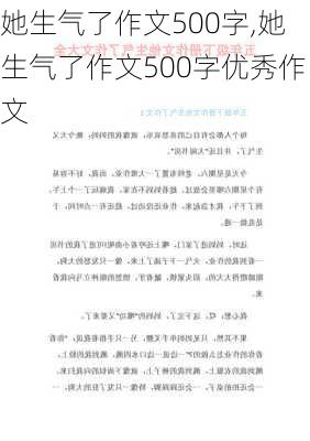 她生气了作文500字,她生气了作文500字优秀作文-第1张图片-二喜范文网