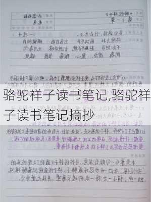 骆驼祥子读书笔记,骆驼祥子读书笔记摘抄-第3张图片-二喜范文网