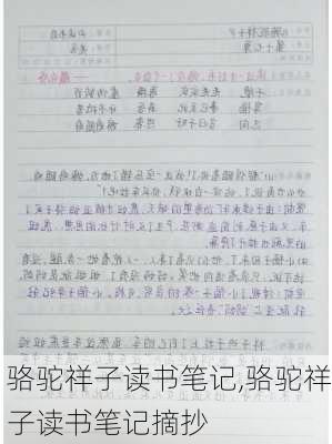 骆驼祥子读书笔记,骆驼祥子读书笔记摘抄-第1张图片-二喜范文网