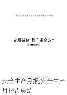 安全生产月报,安全生产月报告总结-第3张图片-二喜范文网