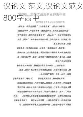 议论文 范文,议论文范文800字高中-第2张图片-二喜范文网