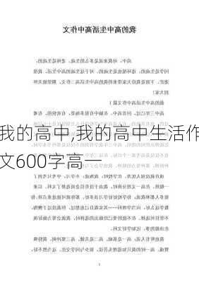 我的高中,我的高中生活作文600字高一-第2张图片-二喜范文网