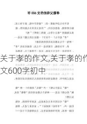 关于孝的作文,关于孝的作文600字初中-第2张图片-二喜范文网