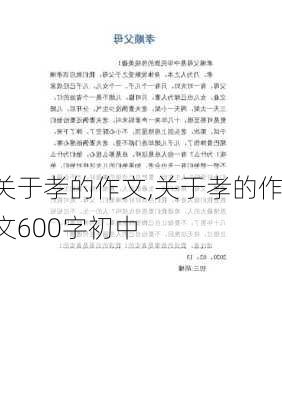 关于孝的作文,关于孝的作文600字初中-第3张图片-二喜范文网