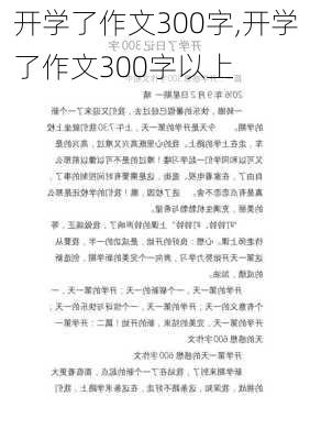 开学了作文300字,开学了作文300字以上-第2张图片-二喜范文网