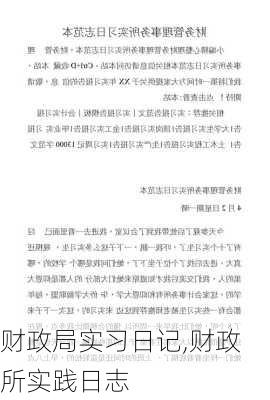 财政局实习日记,财政所实践日志-第1张图片-二喜范文网