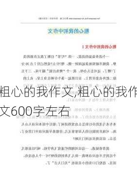 粗心的我作文,粗心的我作文600字左右-第3张图片-二喜范文网