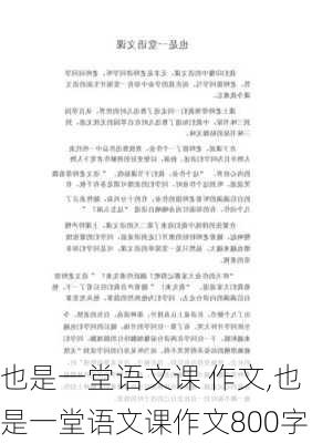 也是一堂语文课 作文,也是一堂语文课作文800字-第1张图片-二喜范文网