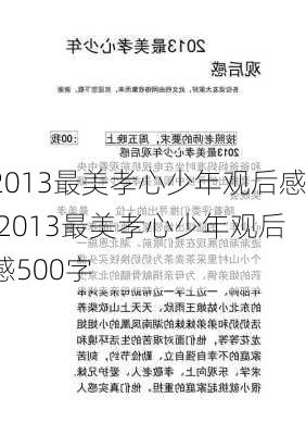 2013最美孝心少年观后感,2013最美孝心少年观后感500字