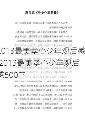 2013最美孝心少年观后感,2013最美孝心少年观后感500字-第3张图片-二喜范文网