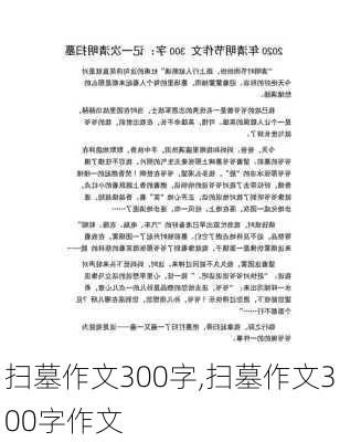 扫墓作文300字,扫墓作文300字作文-第2张图片-二喜范文网