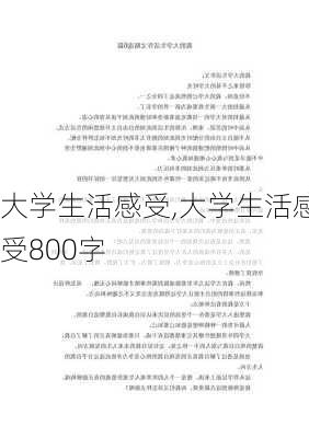 大学生活感受,大学生活感受800字-第2张图片-二喜范文网